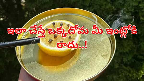 దీన్ని నిమ్మకాయలో వేసి మీ ఇంటి తలుపు దగ్గర ఉంచండి... ఒక్క దోమ కూడా లోపలికి రాదు!