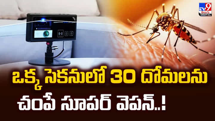Mosquitoes: ఒక్క సెకనులో 30 దోమలను చంపే సూపర్ వెపన్ Mosquitoes: ఒక్క సెకనులో 30 దోమలను చంపే సూపర్ వెపన్