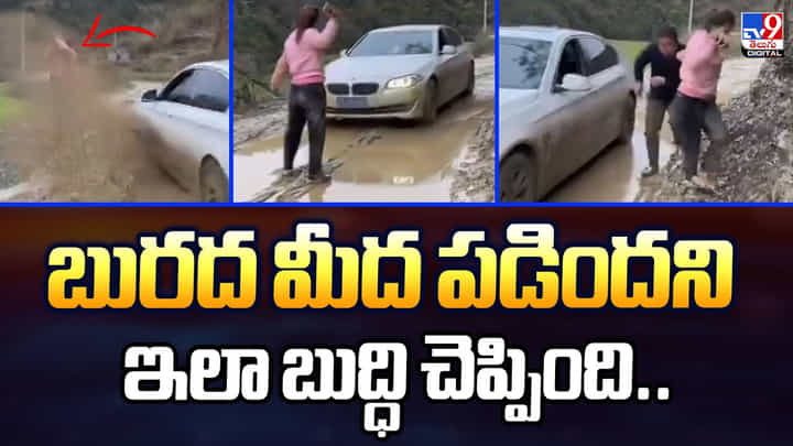 బురద మీద పడిందని ఇలా బుద్ధి చెప్పింది.. బురద మీద పడిందని ఇలా బుద్ధి చెప్పింది..