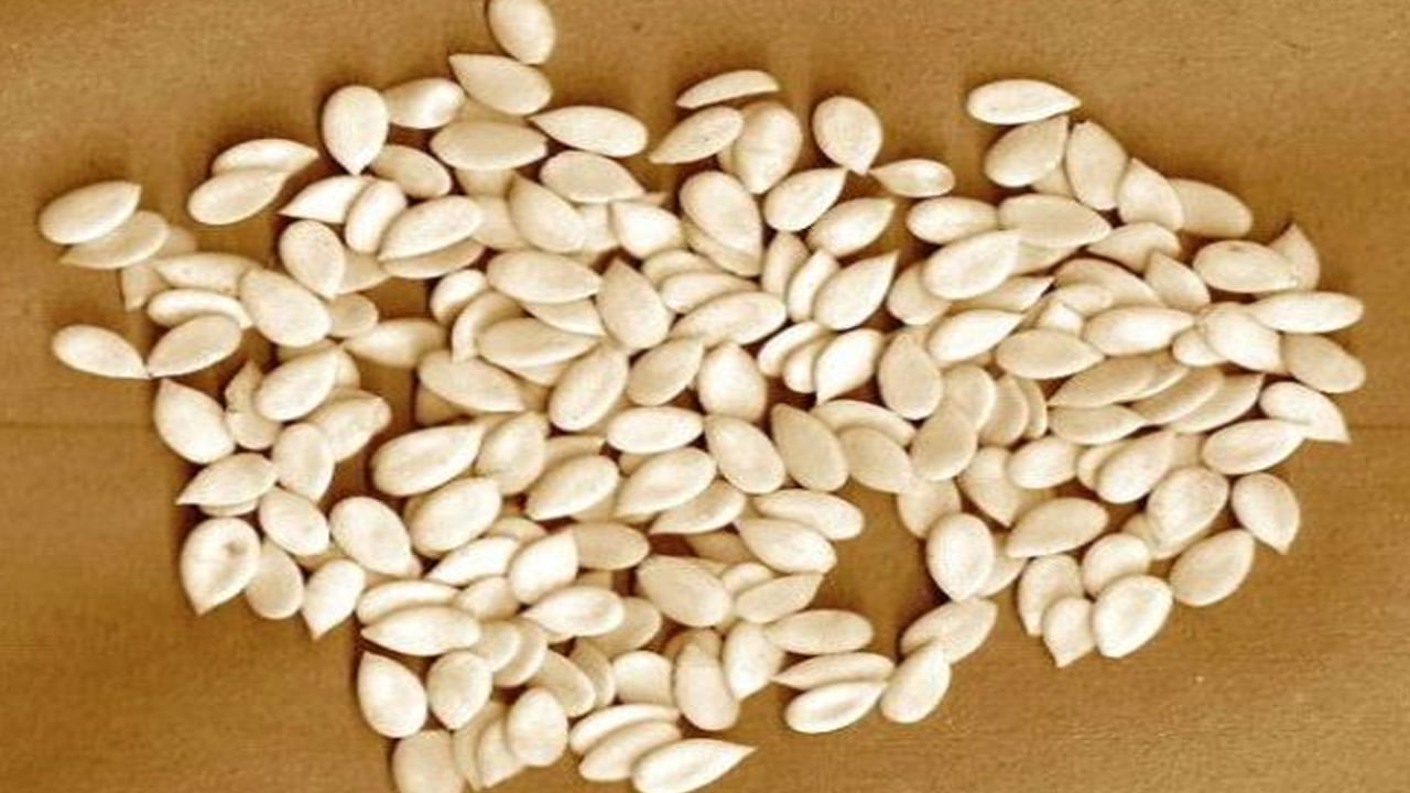 రోగనిరోధక శక్తిని పెంచుతుంది: కర్బూజ గింజలు రోగనిరోధక శక్తిని పెంచడంలో సాయపడతాయి. ఇన్ఫెక్షన్‌లను దూరంగా ఉంచుతాయి. ఈ గింజల్లో విటమిన్ సి పుష్కలంగా ఉంటుంది. దీంతో రోగనిరోధక వ్యవస్థ పనితీరును బలంగా ఉంచుతుంది. వివిధ యాంటీఆక్సిడెంట్లు కూడా సమృద్ధిగా ఉంటాయి.