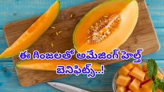 Blood infection: వామ్మో.. పెరుగుతున్న బ్లడ్ ఇన్ఫెక్షన్ కేసులు.. అసలు కారణాలు ఇవేనట