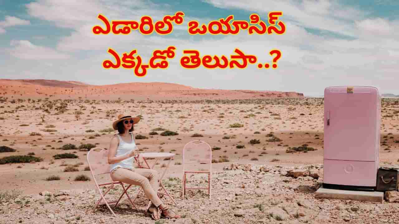 ఎడారిలో ఒయాసిస్‌ ఎప్పుడైనా చూశారా..?ఎక్కడో తెలిస్తే.. ఎగురుకుంటూ ఇప్పుడే వెళ్తారు..!