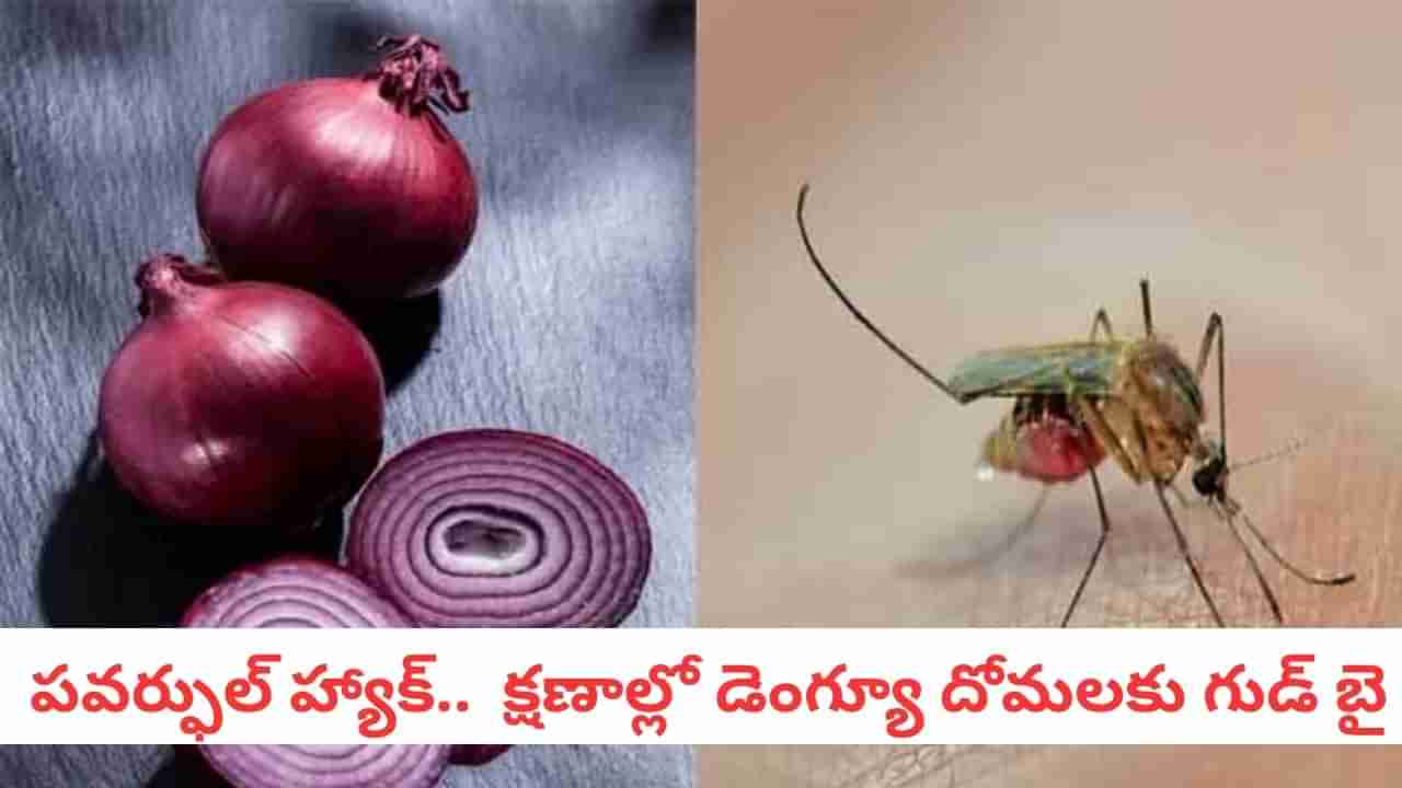 Mosquito Hack: వైరల్ హ్యాక్.. ఇంట్లో ఒక్క ఉల్లిపాయ ఉంటే చాలు.. దోమలు చచ్చితీరుతాయి