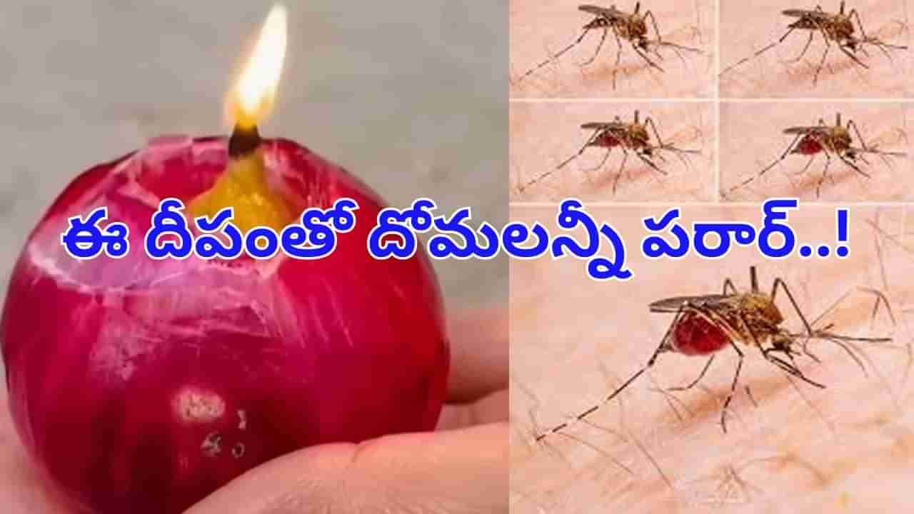 ఈ విధంగా దీపం పెట్టారంటే ఇంట్లో దోమలు పరార్ అవ్వాల్సిందే..! ట్రై చేయండి..