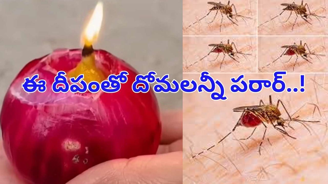 ఈ విధంగా దీపం పెట్టారంటే ఇంట్లో దోమలు పరార్ అవ్వాల్సిందే..! ట్రై చేయండి..