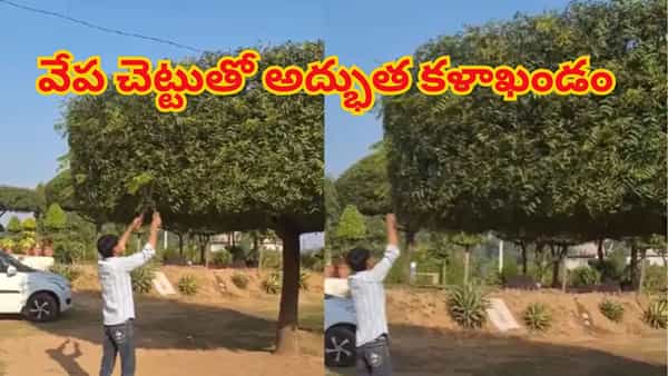 Viral Video: వేప చెట్టుతో అద్భుత కళాఖండం.. చూస్తే ఫిదా అవ్వాల్సిందే..!