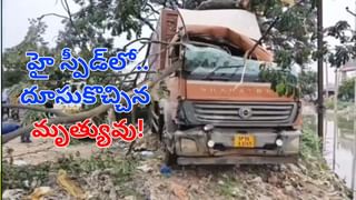 Palnadu: అమ్మో పులి..  పల్నాడులో కలకలం.. రెండు గేదెలపై దాడి..