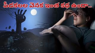 Superfoods: సప్లిమెంట్లకు డబ్బు వృథా చేయకండి.. ఈ 4 పదార్థాలు ఇంట్లో ఉంటే చాలు!