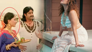 వరుస ఫ్లాప్స్ దెబ్బకు టాలీవుడ్‌ను వదిలేసింది.. ఎన్టీఆర్ శక్తి సినిమాలో ఈ బ్యూటీ గుర్తుందా.? ఇప్పుడు ఏం చేస్తుందంటే