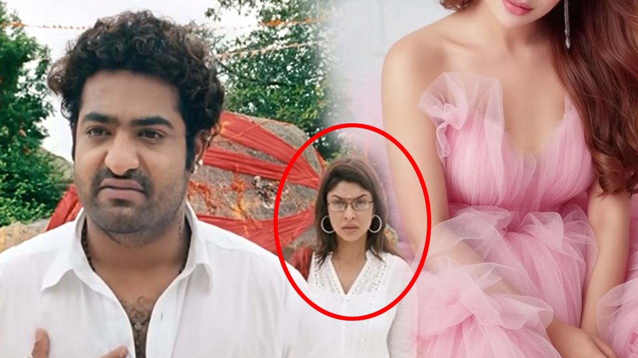 అప్పుడు ఎన్టీఆర్ సినిమాలో సైడ్ రోల్.. కట్ చేస్తే ఇప్పుడు ఇండస్ట్రీలో హాట్ బ్యూటీ..