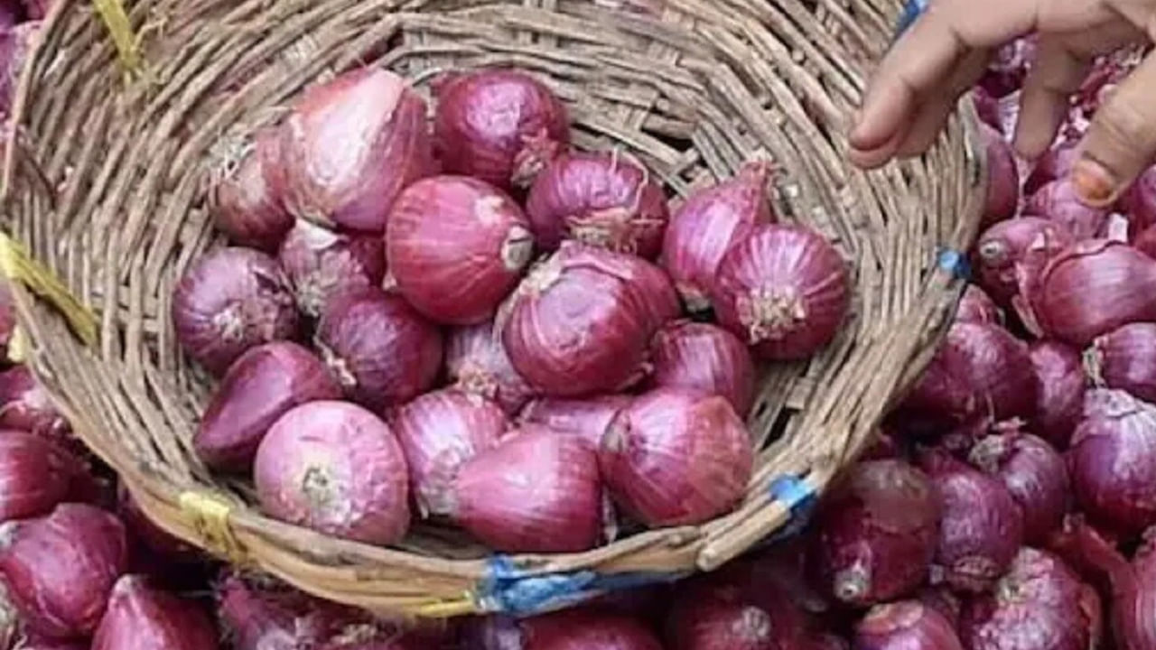 మీరు ఉల్లిపాయల కోసం మార్కెట్ కు వెళ్తే కచ్చితంగా కొన్ని విషయాలను గుర్తుంచుకోండి. ఉల్లిపాయను కొనుగోలు చేసేటప్పుడు అవి గట్టిగా ఉన్నాయో లేదో చూడండి.. దాన్ని చేత్తో నొక్కి.. చూడండి.. ఉల్లిపాయ మెత్తగా ఉంటే, అది లోపల కుళ్ళిపోవచ్చు లేదా త్వరగా చెడిపోవచ్చు. అలాంటి వాటిని కొనకండి.