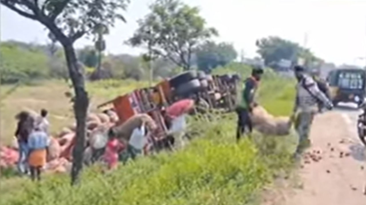 కానీ ఆ ఊరి జనాలు మాత్రం ఇందుకు పూర్తి భిన్నంగా ప్రవర్తించి సభ్య సమాజం తలదించుకునేలా ప్రవర్తించారు. ఉల్లిపాయల లోడుతో వెళ్తున్న ఓ లారీ అదుపు తప్పి రోడ్డు పక్కన బోల్తాపడింది. ఈ ప్రమాదంలో డ్రైవర్, క్లీనర్ తీవ్రంగా గాయపడి ప్రాణాలు కాపాడాలంటూ విలవిలలాడుతుంటే.. ఆ ఊరి జనం మాత్రం ఉల్లి బస్తాల కోసం ఎగబడ్డారు.