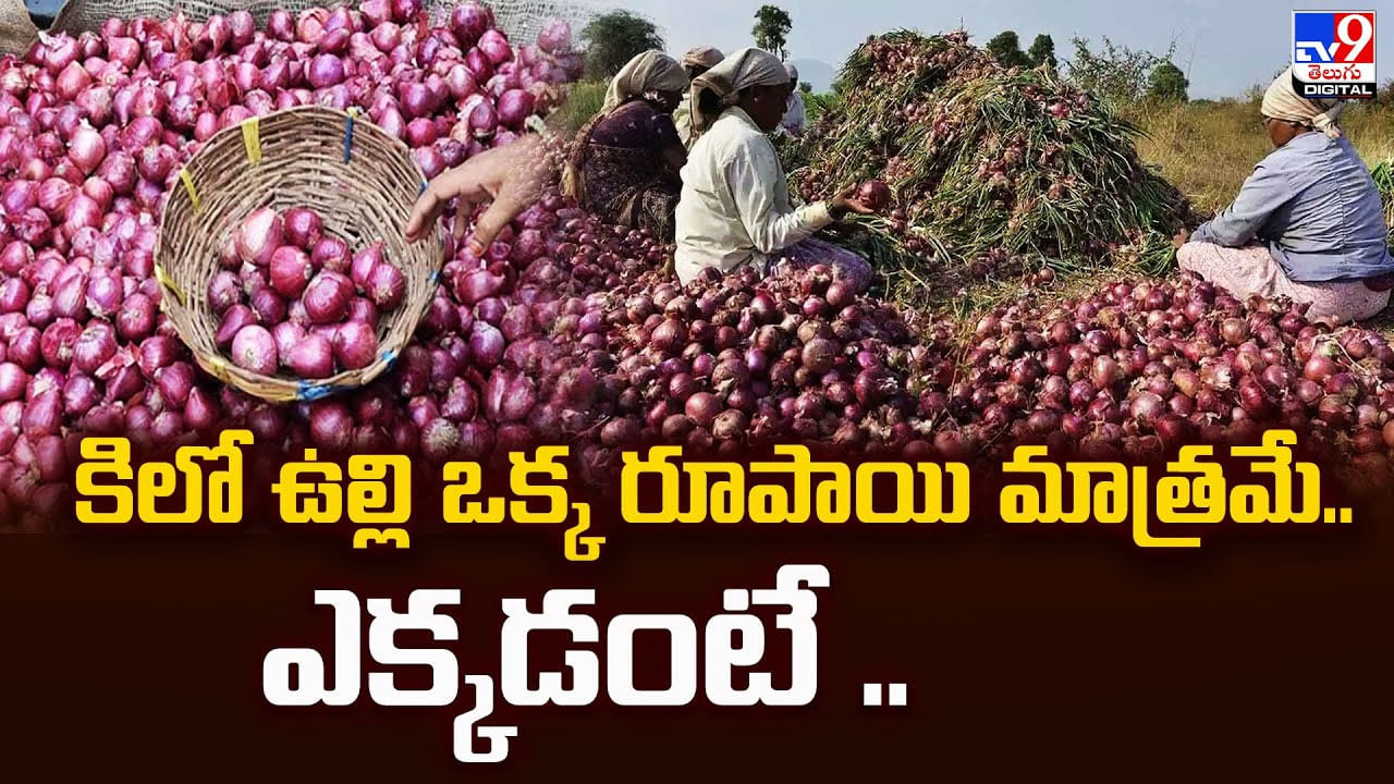 కిలో ఉల్లి ఒక్క రూపాయి మాత్రమే.. ఎక్కడంటే