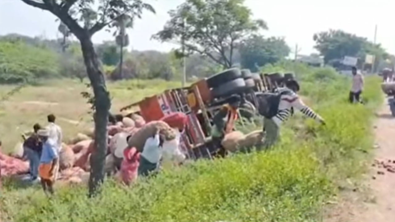 దొరికిన ఉల్లి బస్తాలను దొరికినట్టు గ్రామస్తులు ఎత్తుకు పోయారు. హైదరాబాద్ - విజయవాడ జాతీయ రహదారిపై వెళ్తున్న ఉల్లిపాయల లారీ నల్గొండ జిల్లాలోని నార్కట్ పల్లి వద్ద ప్రమాదవశాత్తు సోమవారం (నవంబర్‌ 10) బోల్తా పడింది. ఉల్లిపాయల బస్తాలు రోడ్డు పక్కన పడిపోవడం చూసిన బాటసారులు, వాహనదారులు ఉల్లిపాయల బస్తాలు ఎత్తుకువెళ్లారు. 