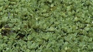 అదృష్టం తీసుకొస్తున్న డిసెంబర్.. వీరికి పట్టిందల్లా బంగారమే!