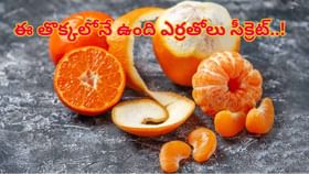 తొక్కే కదా అని తీసి పారేయకండి..ఇలా వాడారంటే చంద్రకాంతి కంటే అందం!