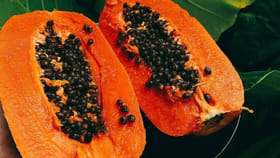 వీరికి ​బొప్పాయి వెరీ డేంజర్..! ఎట్టి పరిస్థితుల్లోనూ తినొద్దు...