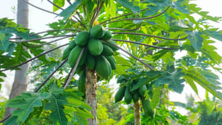 హిస్టారికల్ టూర్ ప్లాన్ చేస్తున్నారా.? ఆ ప్రదేశాలు ది బెస్ట్..