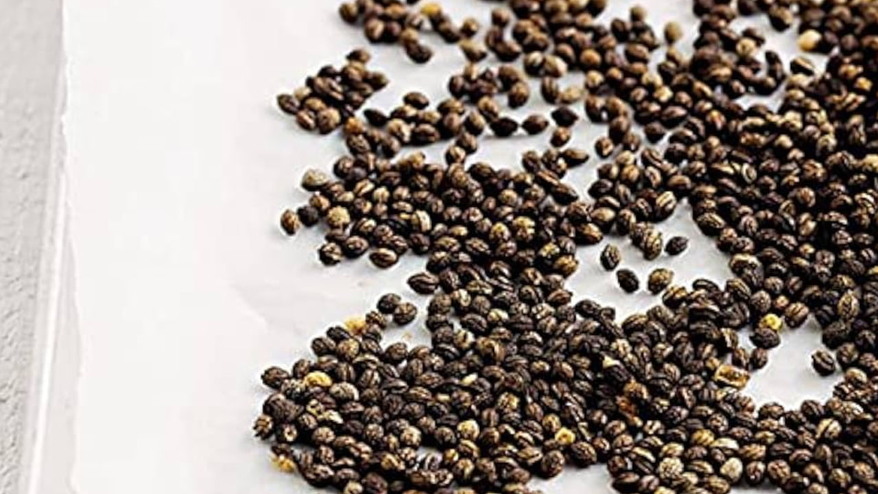 ఈ విత్తనాలలో ఫ్లేవనాయిడ్లు, ఫినాలిక్ సమ్మేళనాలు వంటి యాంటీఆక్సిడెంట్లు పుష్కలంగా ఉంటాయి. కాబట్టి అవి ఆక్సీకరణ ఒత్తిడిని తగ్గిస్తాయి. వీటిని తీసుకోవడం వల్ల దీర్ఘకాలిక వ్యాధుల ప్రమాదం తగ్గుతుంది. బొప్పాయి గింజల్లో మెగ్నీషియం, పొటాషియం, కాల్షియం వంటి ముఖ్యమైన ఖనిజాలు ఉంటాయి. ఆరోగ్యానికి అవసరమైన వివిధ అమైనో ఆమ్లాలు కూడా వీటిలో ఉంటాయి.