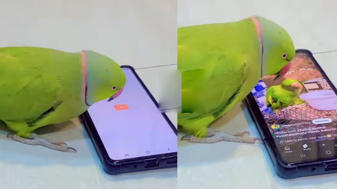 Watch: అయ్యో రామా.. రీల్స్ కి బానిసైన చిలుకమ్మ.. యూ ట్యూబ్‌లో ఏం చూస్తుందో తెలిస్తే..