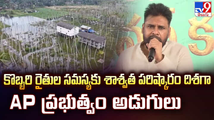 కొబ్బరి రైతుల సమస్యకు శాశ్వత పరిష్కారం దిశగా AP ప్రభుత్వం అడుగులు కొబ్బరి రైతుల సమస్యకు శాశ్వత పరిష్కారం దిశగా AP ప్రభుత్వం అడుగులు