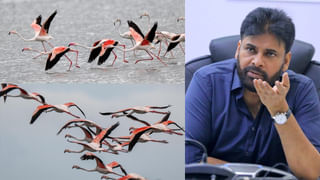 Andhra: రక్తమోడిన తెలుగు రాష్ట్రాలు.. 24 గంటల గడవకముందే వరుసగా 3 ప్రైవేట్ బస్సు ప్రమాదాలు