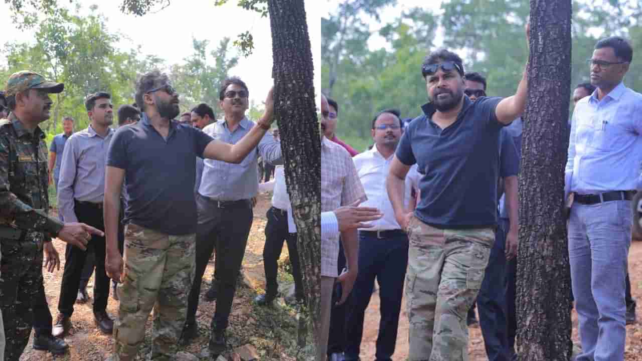 Pawan Kalyan: చెట్టు నరికితే తాట తీస్తా.. వారికి డిప్యూటీ సీఎం పవన్ కల్యాణ్ మాస్ వార్నింగ్