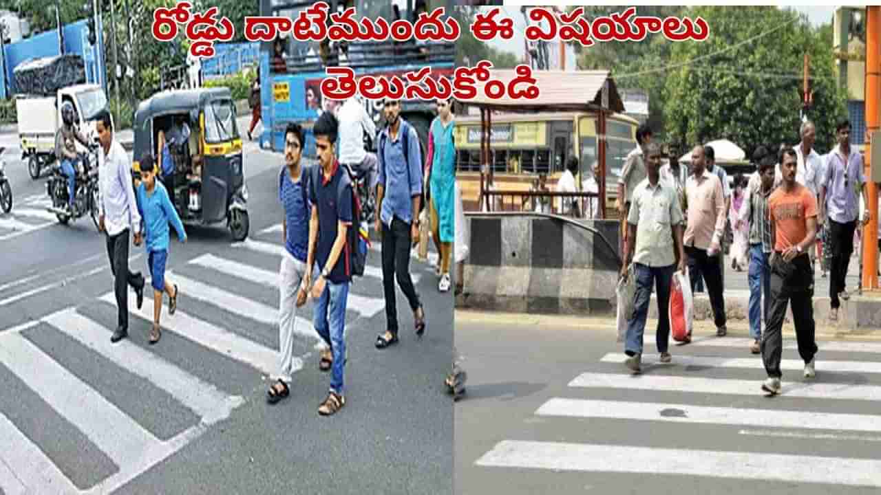 Road Safety: తప్పు ఎవరిదైనా డబ్బు మీకే.. జీబ్రా క్రాసింగ్ వద్ద ప్రమాదం జరిగితే చట్టం ఇచ్చిన పవర్స్ ఇవే..