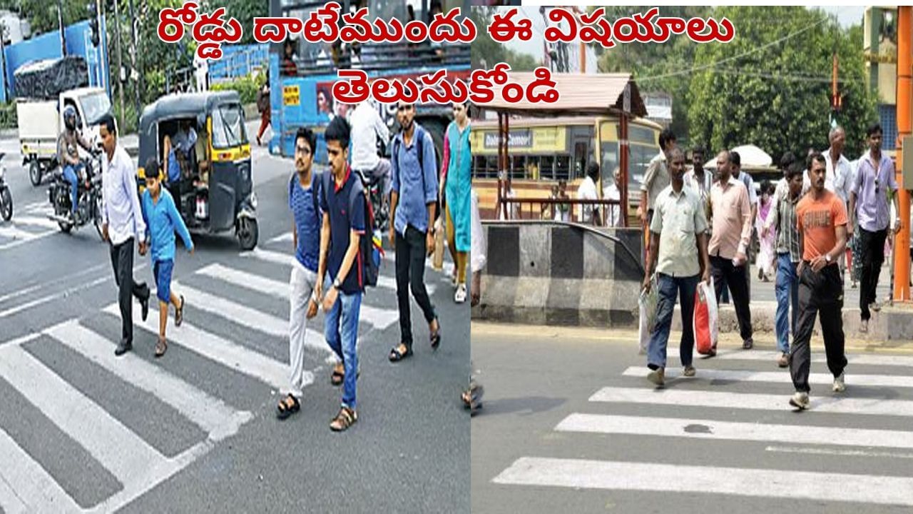 Road Safety: తప్పు ఎవరిదైనా డబ్బు మీకే.. జీబ్రా క్రాసింగ్ వద్ద ప్రమాదం జరిగితే చట్టం ఇచ్చిన పవర్స్ ఇవే..