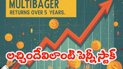 లక్ష పెడితే రూ. 15 లక్షల లాభం.. మల్టీ బ్యాగర్లకే మమ్మీ..