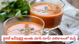 Amla Rice: నిమ్మకాయ పులిహోర కన్నా 10 రెట్లు టేస్టీగా.. తప్పక ట్రై చేయాల్సిన ఆమ్లా రైస్