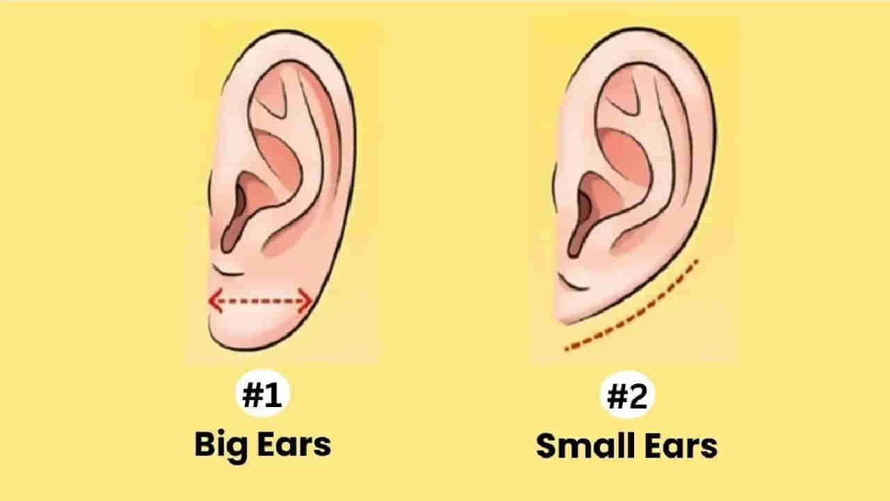Personality Test: మీ చెవుల ఆకారాన్ని బట్టి.. మీరు ఎలాంటి వారో తెలుసుకోవచ్చు.. ఎలా అంటే?