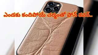 అడవిగా మారిన ఒకే ఒక్క చెట్టు..! ఇప్పుడు ఓ నగరాన్నే మింగేయబోతోంది…? ఆ అద్భుతాన్ని చూడాల్సిందే…