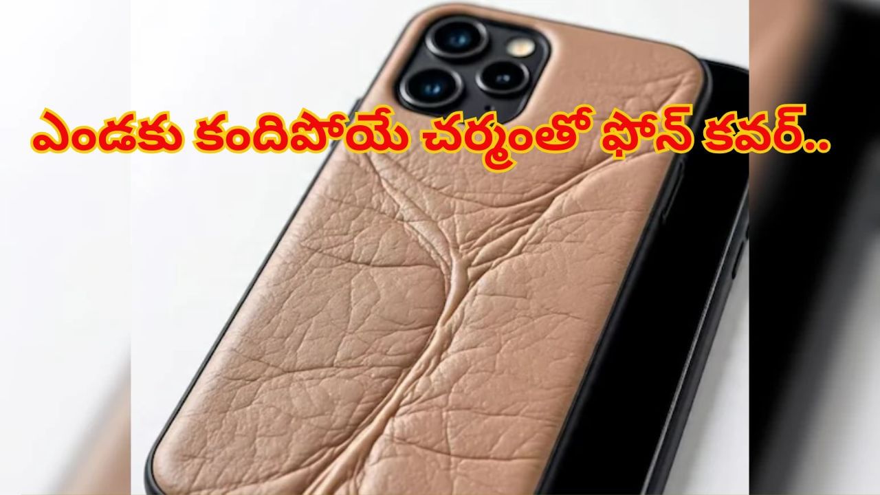 Watch: ఎండకు కందిపోయే ఫోన్ కవర్.. అచ్చం మనలాగే..! సోషల్ మీడియాలో హల్చల్