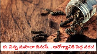 Cucumber Hacks:తొక్కలో ఏముందిలే అనుకోకండి.. కీరదోస ఇలా తింటే లక్షల పోషకాలు మిస్సైనట్టే!