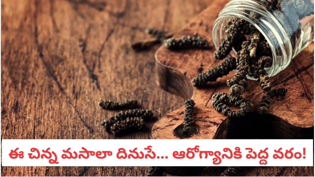 Pippali Benefits : రంగు చూసి మోసపోయేరు! ఆ 5 రోగాలను తరిమికొట్టగల పవర్ఫుల్ పదార్థమిది!