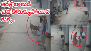 “మేము ఎవరినీ బెదిరించం.. భయపడం.. దేశభద్రత కోసం రాజీపడం” : ప్రధాని మోదీ