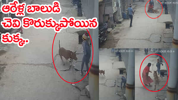 Watch Video: ఆరేళ్ల బాలుడిపై పెంపుడు కుక్క దాడి.. రోడ్డుపై తెగి పడిన చెవి! వీడియో వైరల్