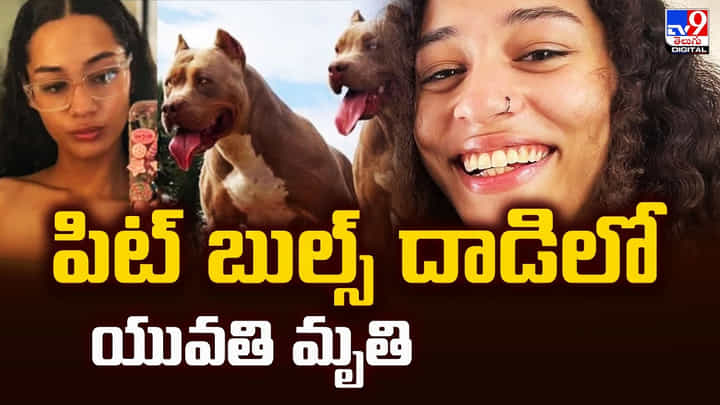 Pit Bull: పిట్ బుల్స్ దాడిలో యువతి మృతి Pit Bull: పిట్ బుల్స్ దాడిలో యువతి మృతి