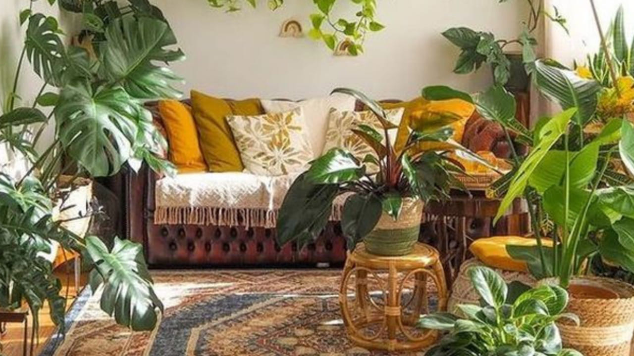 ప్రతి ఒక్కరూ ఇంటి చుట్టూ వివిధ రకాల మొక్కలను నాటుతారు ఎందుకంటే అవి ఇంటి వాతావరణాన్ని అందంగా తీర్చిదిద్దుతాయి. అలాగే ప్రశాంతంగా ఉంచుతాయి. ఈ మొక్కలు సానుకూల వాతావరణాన్ని సృష్టించడమే కాకుండా మన మానసిక, శారీరక, ఆర్థిక శ్రేయస్సుపై కూడా తీవ్ర ప్రభావాన్ని చూపుతాయి. వాటిలో కొన్ని సానుకూల ప్రభావన్ని చూపితే.. మరికొన్ని ప్రతికూల ప్రభావాన్ని చూపుతాయి. కాబట్టి ఇంట్లో ఈ కింద పేర్కొన్న మొక్కలను అస్సలు నాటకండి.