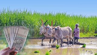 PM Kisan: రైతన్నలకు గుడ్‌న్యూస్‌.. 19న ఖాతాల్లో పీఎం కిసాన్‌ డబ్బులు.. వారికి రూ.4 వేలు!