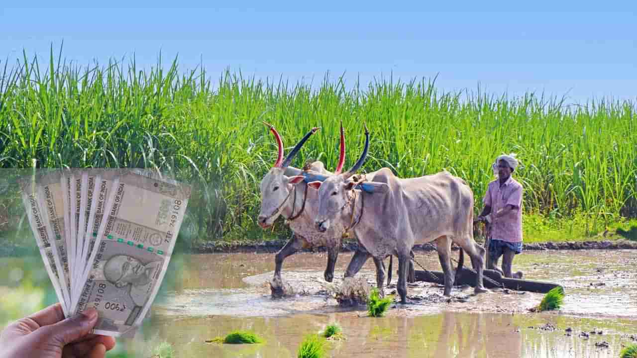 PM Kisan: రైతన్నలకు గుడ్న్యూస్.. 19న ఖాతాల్లో పీఎం కిసాన్ డబ్బులు.. వారికి రూ.4 వేలు!