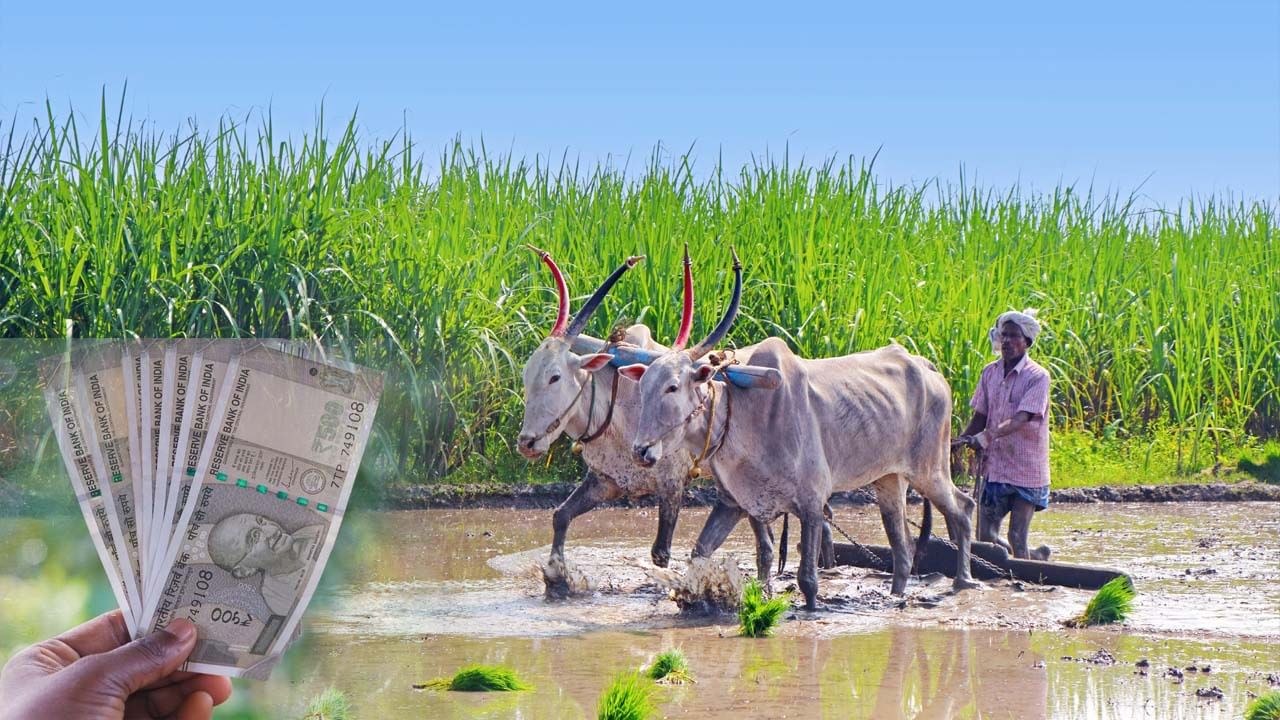 PM Kisan: రైతన్నలకు గుడ్న్యూస్.. 19న ఖాతాల్లో పీఎం కిసాన్ డబ్బులు.. వారికి రూ.4 వేలు!