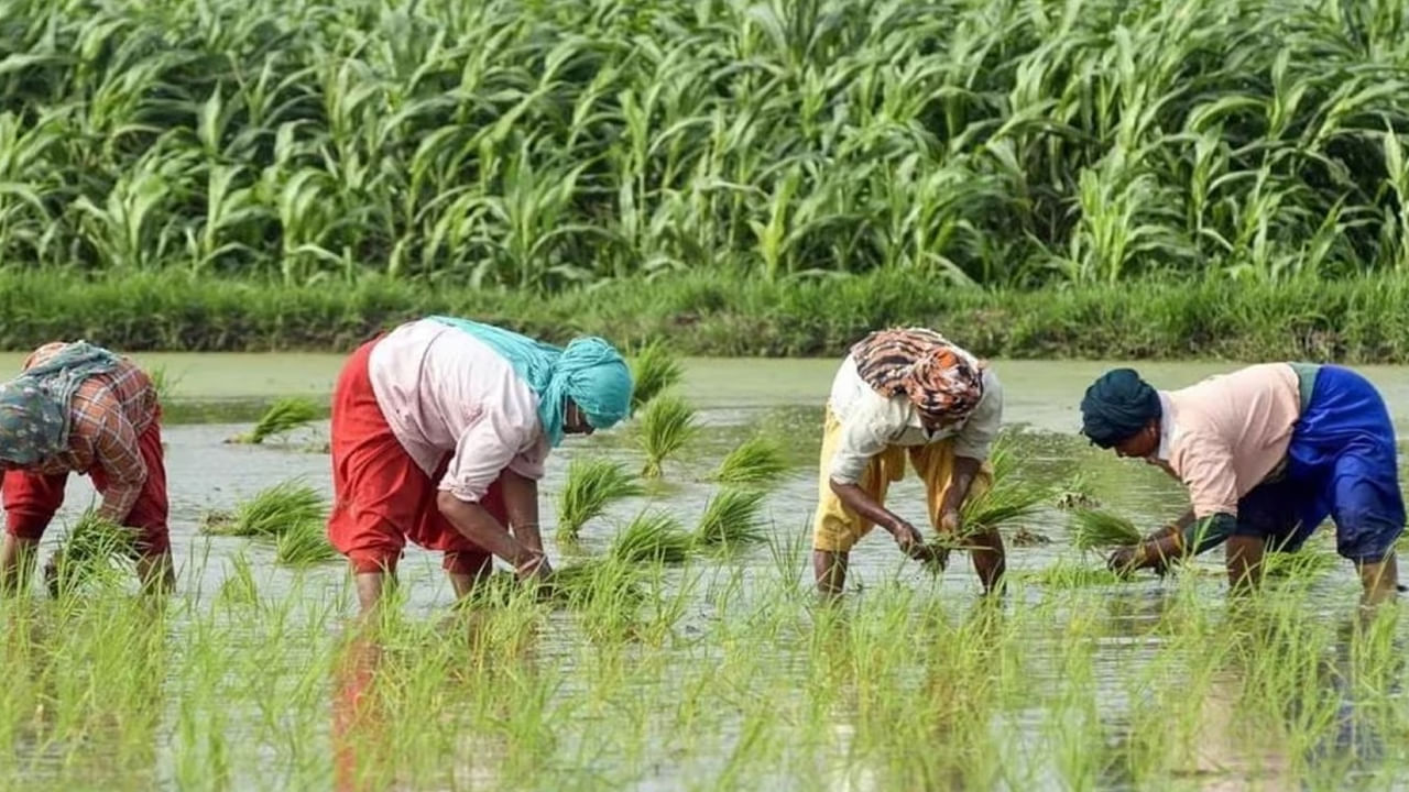 PM Kisan: 21వ విడతకు ముందు 70 లక్షల మంది రైతుల పేర్లను తొలగించిన కేంద్రం.. ఎందుకో తెలుసా?