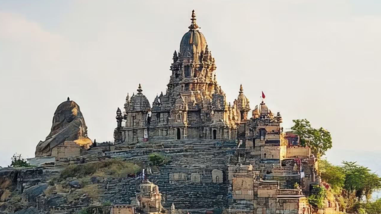 పాలితానాలోని ఆహారం జైన తత్వశాస్త్రం స్వచ్ఛత, అహింస పద్దతులను తెలియజేస్తుంది. వీరు నేలలోని జీవులకు హాని కలిగించకుండా ఉండాలనే ఉద్దేశంతో ఉల్లిపాయలు, వెల్లుల్లి, బంగాళాదుంపలు వంటి వేరు కూరగాయలను కూడా తినరు. ఇక్కడ చాలా మంది జైనులు పాలు, పాల ఉత్పత్తులను కూడా తినరు. 