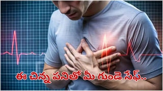 Elephants Ears: ఏనుగు చెవులు ఎందుకు అంత పెద్దవిగా ఉంటాయి..? కారణం తెలిస్తే అవాక్కే..