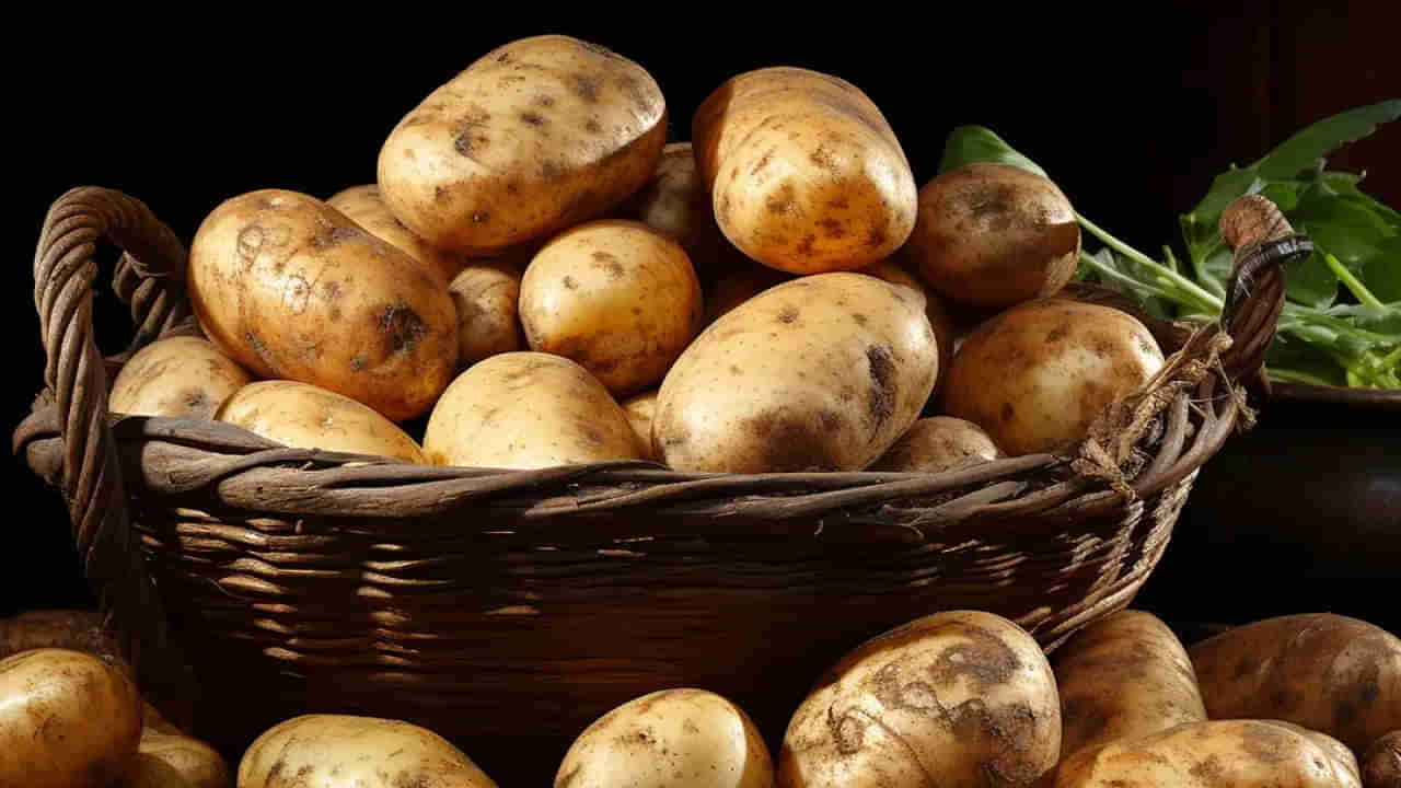 Potatoes: ఇష్టమని వీటిని తెగ తినేస్తున్నారా? ఎంత డేంజరో తెలుసా..