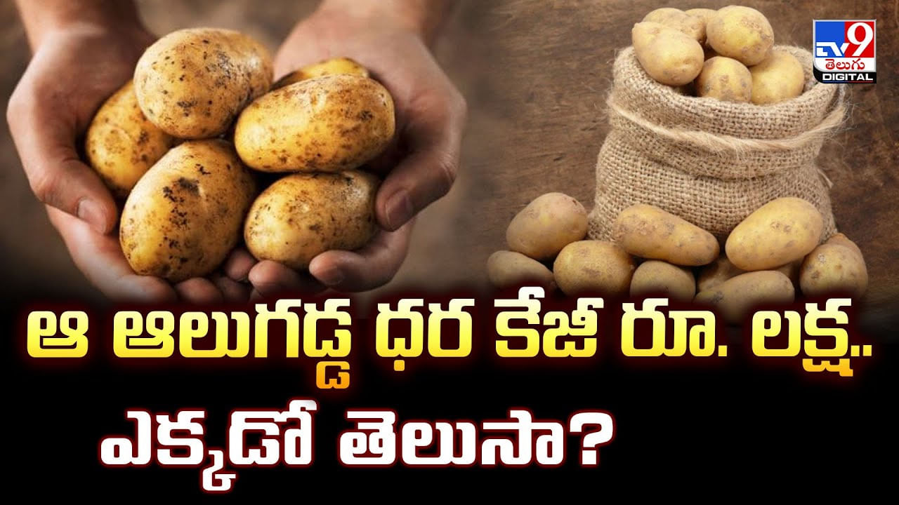 ఆ ఆలుగడ్డ ధర కేజీ రూ. లక్ష.. ఎక్కడో తెలుసా ??
