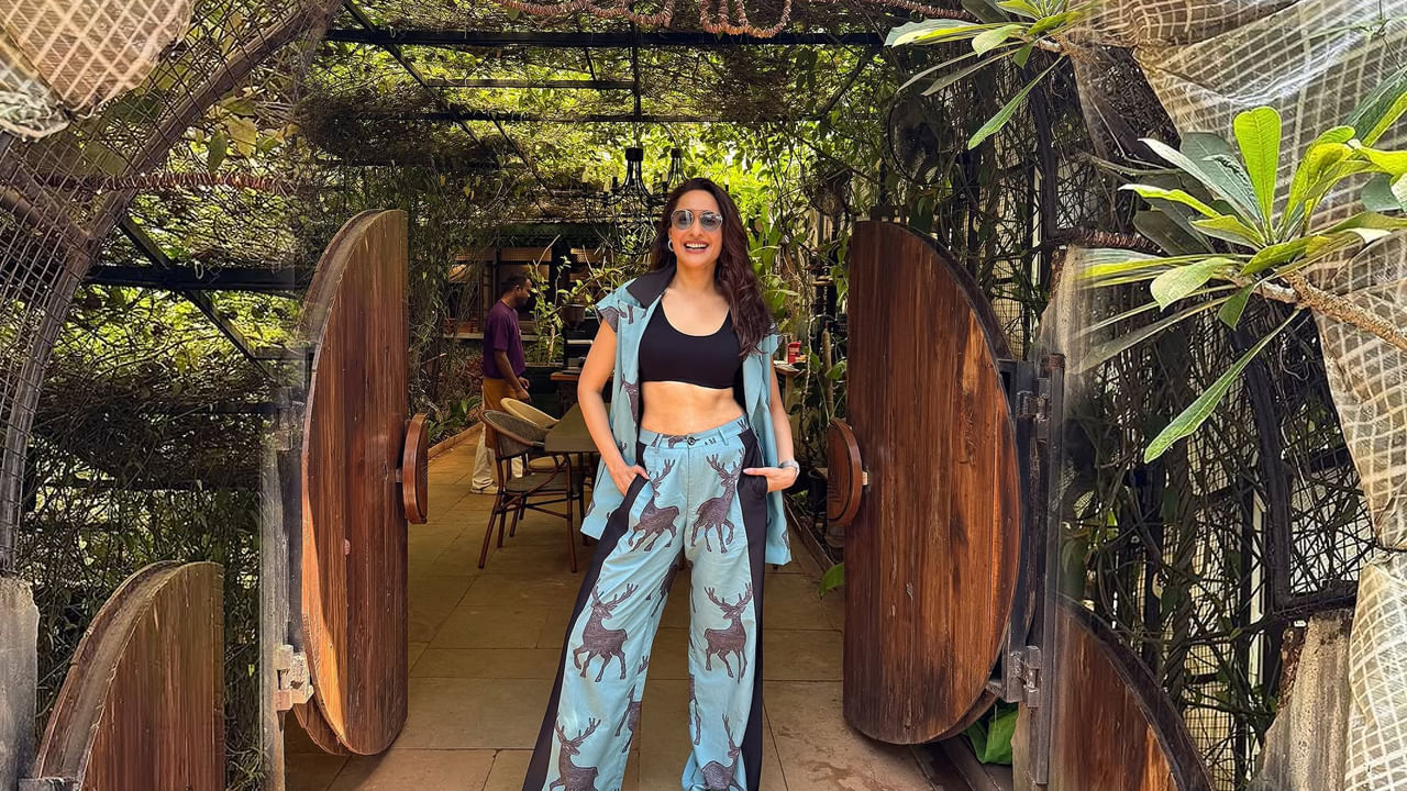 ఇక ఈ మూవీ తర్వాత ఓం నమో వెంకటేశాయ, గుంటూరోడు, నక్షత్రం, జయజానకీ నాయక, ఆచారి అమెరికా యాత్ర, సైరా వంటి చాలా సినిమాల్లో నటించి మెప్పించింది. ముఖ్యంగా ఈ సినిమాల తర్వాత డాకు మహారాజ్లో నటించి తన అంద చందాలతో అందరినీ ఆకట్టుకుంది.