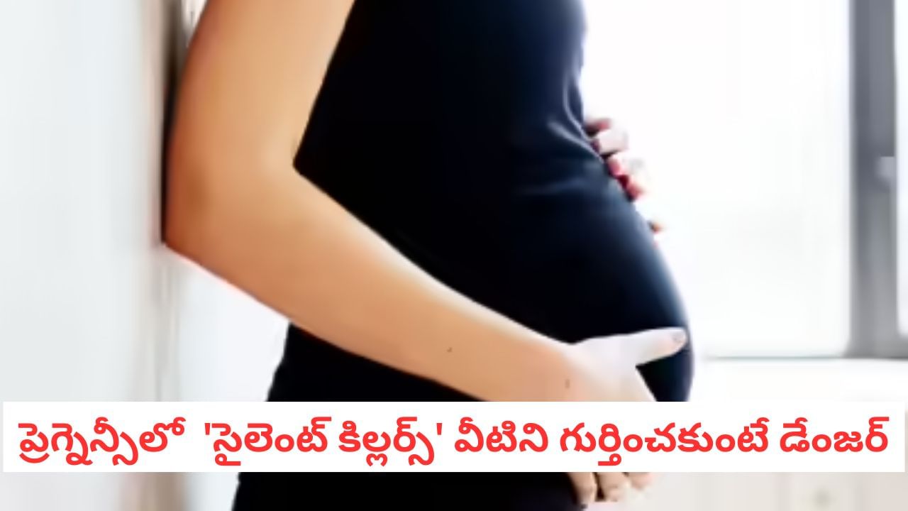 Pregnancy Tips: అస్సలు నిర్లక్ష్యం వద్దు! ఈ 8 సంకేతాలు గర్భిణులకు ఎంత ప్రమాదమో తెలుసా?